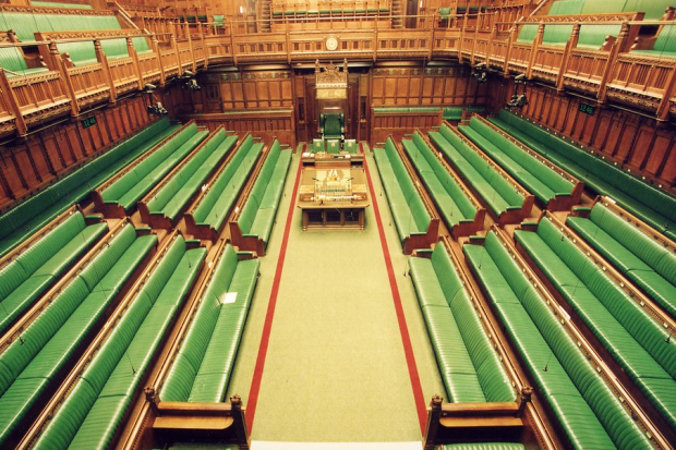 The green benches in the House of Commons